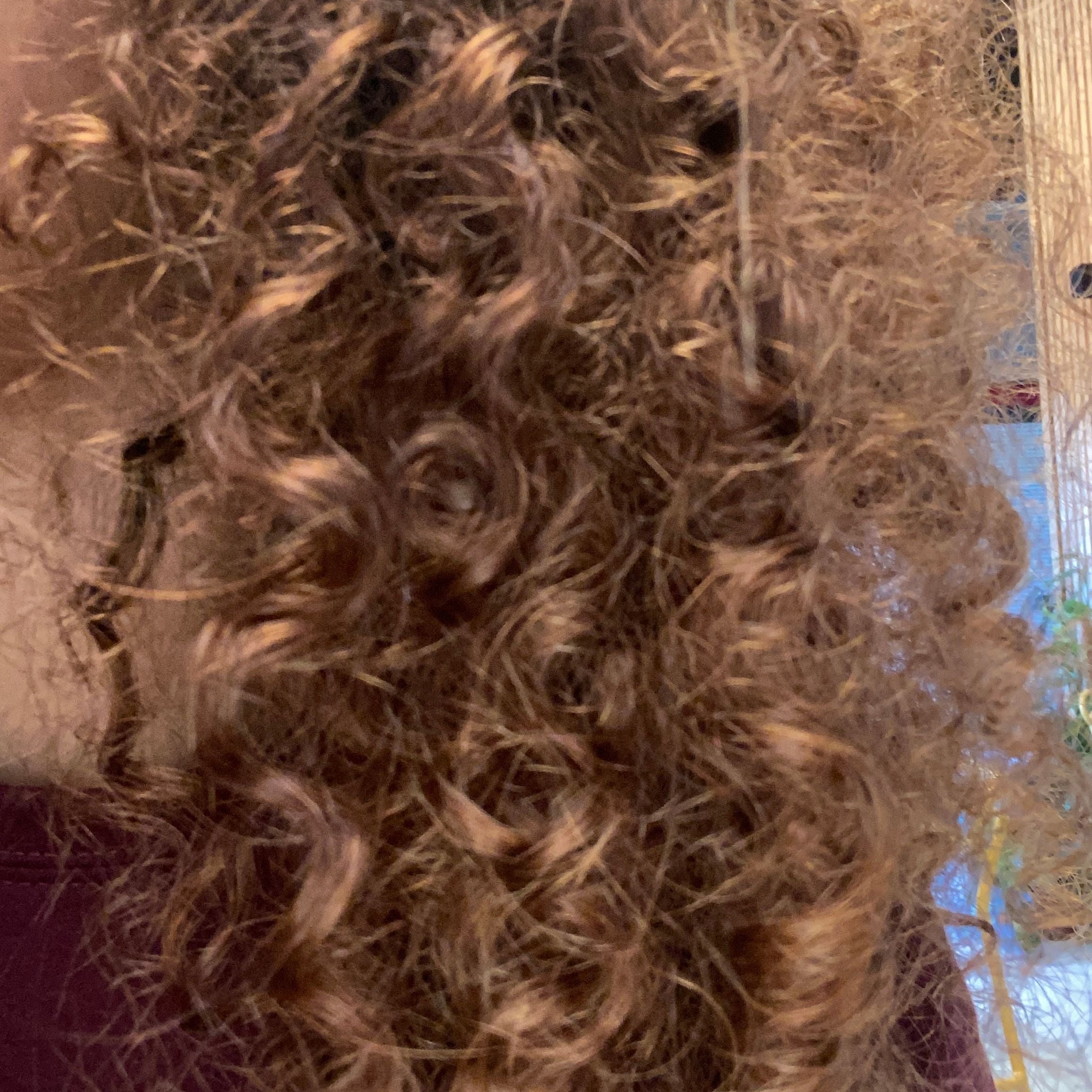 Focus sur la texture bouclée des cheveux de Malice