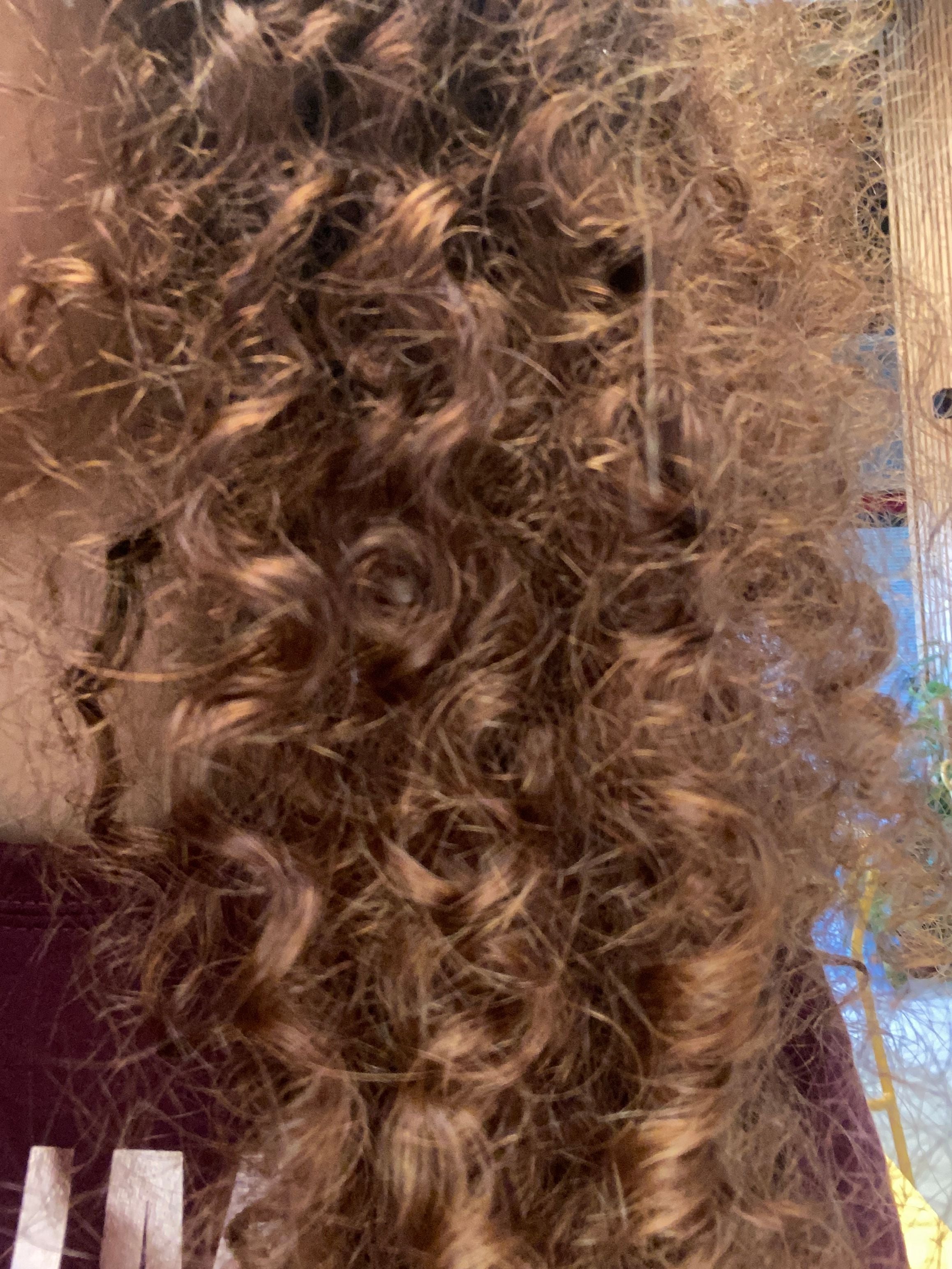 Focus sur la texture bouclée des cheveux de Malice